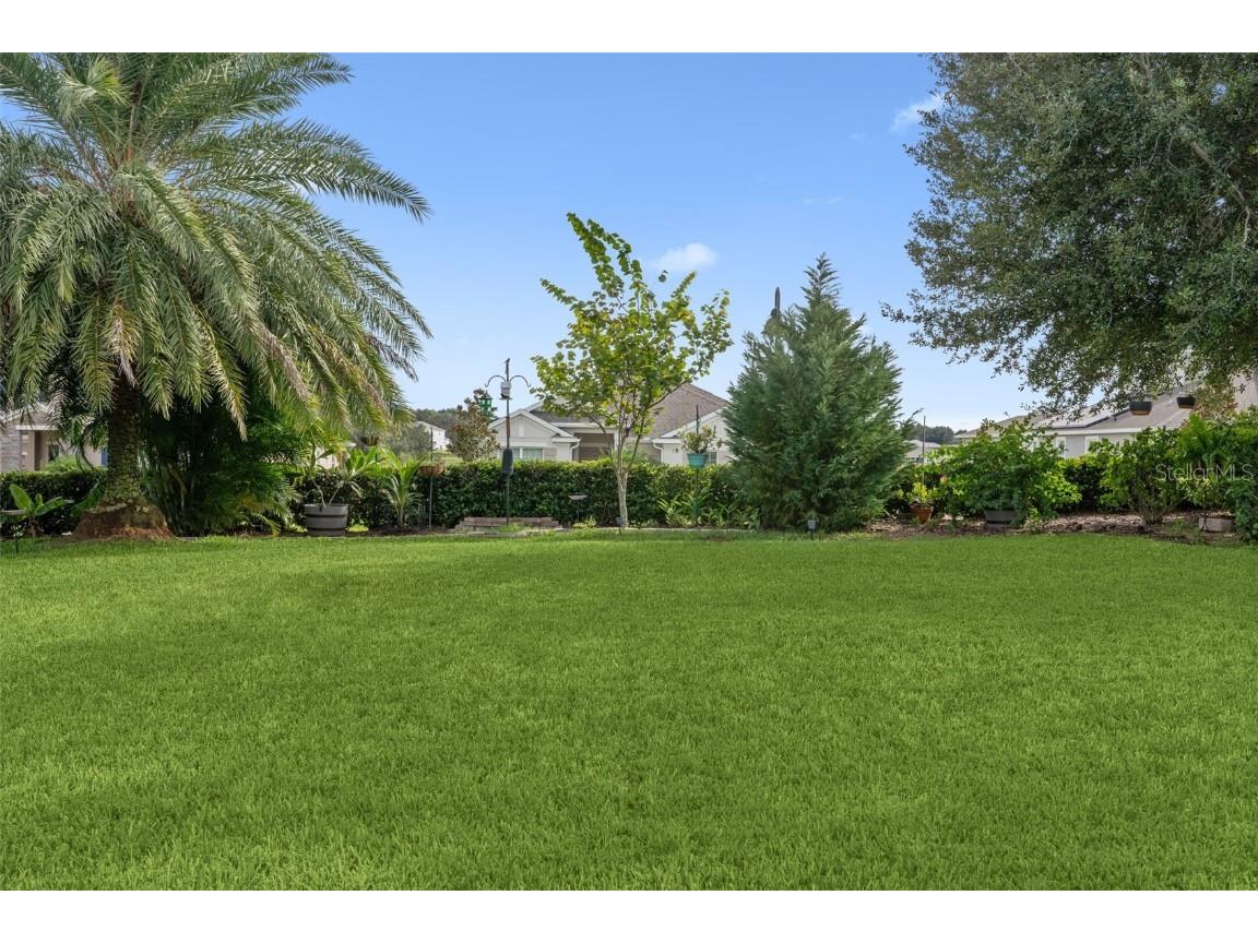 1711 Amsel Falls Park Terrace Winter Garden FL 34787 O6346377 image50