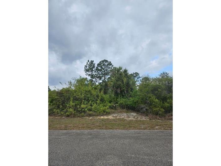 1711 Clayton Avenue Lehigh Acres FL 33972 C7516227 image1