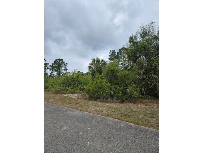 1711 Clayton Avenue Lehigh Acres FL 33972 C7516227 image2