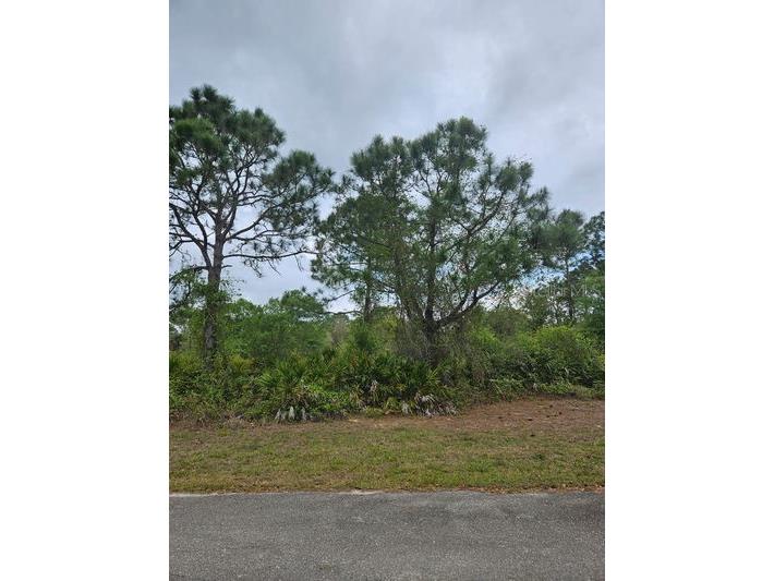 1711 Clayton Avenue Lehigh Acres FL 33972 C7516227 image4