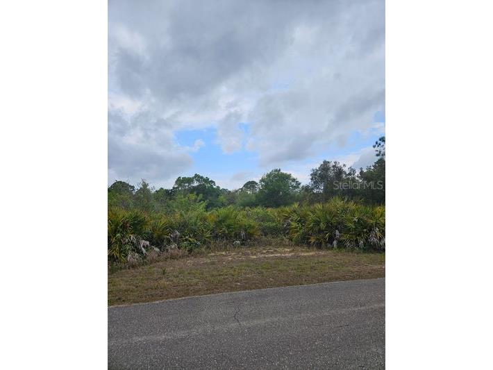 1711 Clayton Avenue Lehigh Acres FL 33972 C7516227 image5