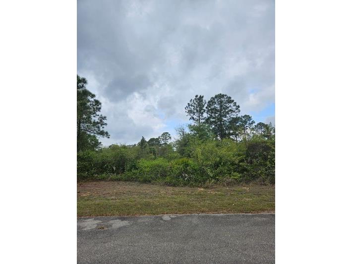 1711 Clayton Avenue Lehigh Acres FL 33972 C7516227 image6
