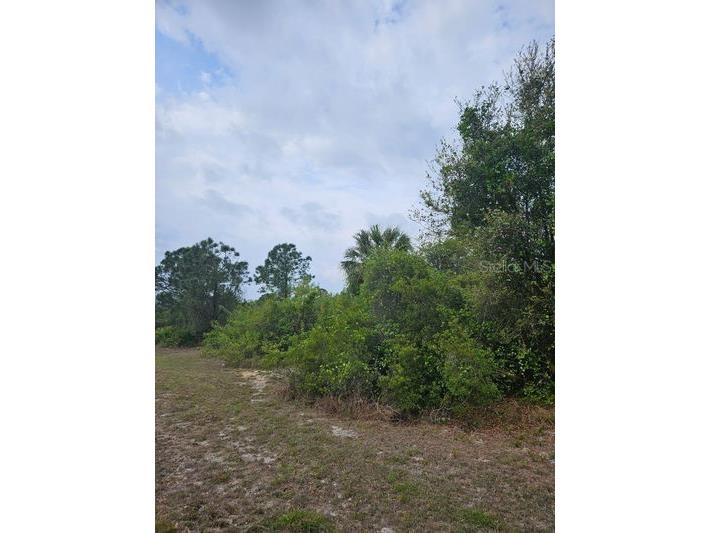 1711 Clayton Avenue Lehigh Acres FL 33972 C7516227 image7