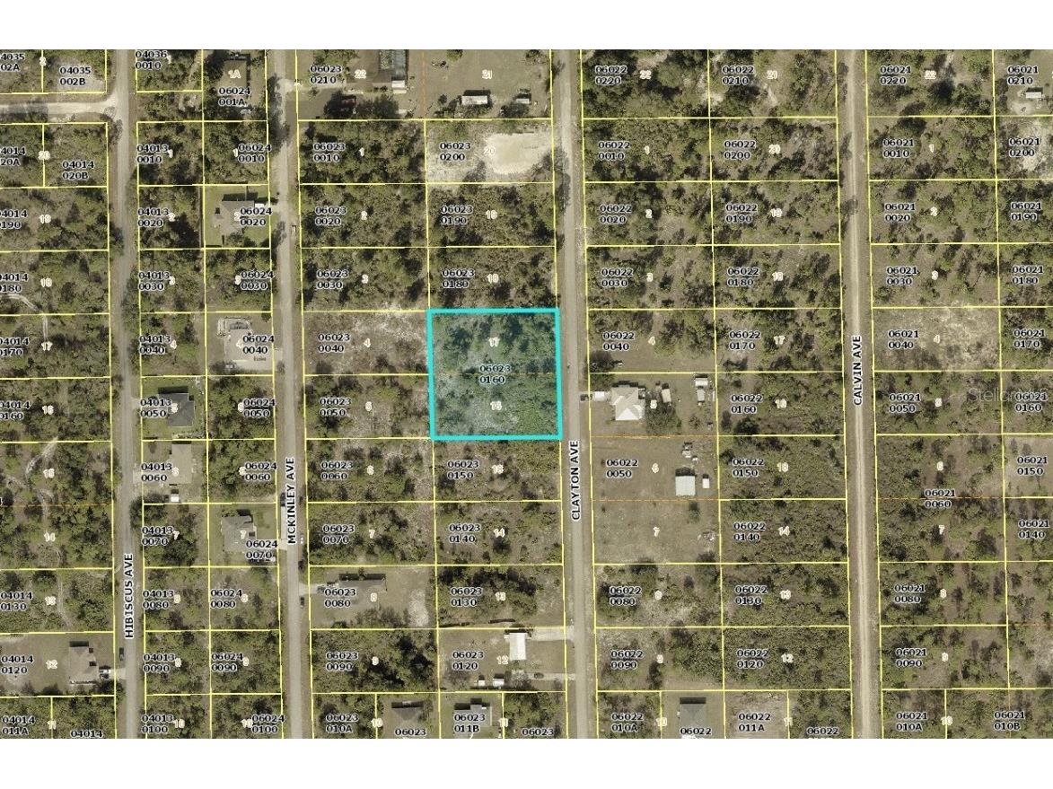 1711 Clayton Avenue Lehigh Acres FL 33972 C7516227 image9