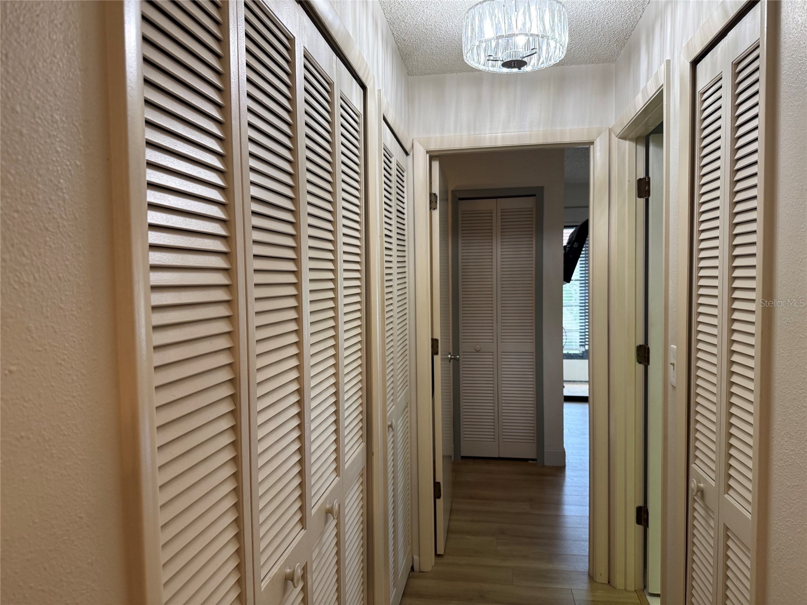 1711 Hammock Pine Boulevard #1711 Clearwater FL 33761 TB8505054 image18