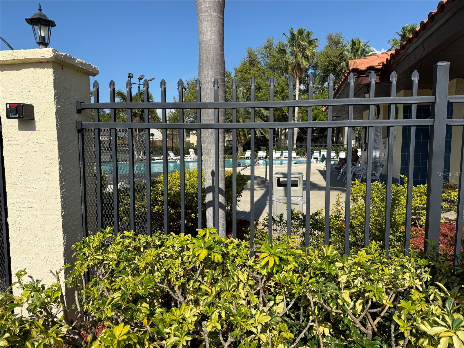 1711 Hammock Pine Boulevard #1711 Clearwater FL 33761 TB8505054 image39