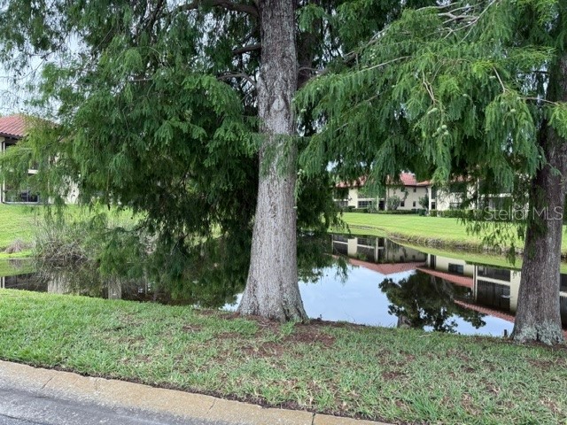1711 Hammock Pine Boulevard #1711 Clearwater FL 33761 TB8505054 image45