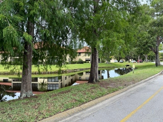 1711 Hammock Pine Boulevard #1711 Clearwater FL 33761 TB8505054 image47