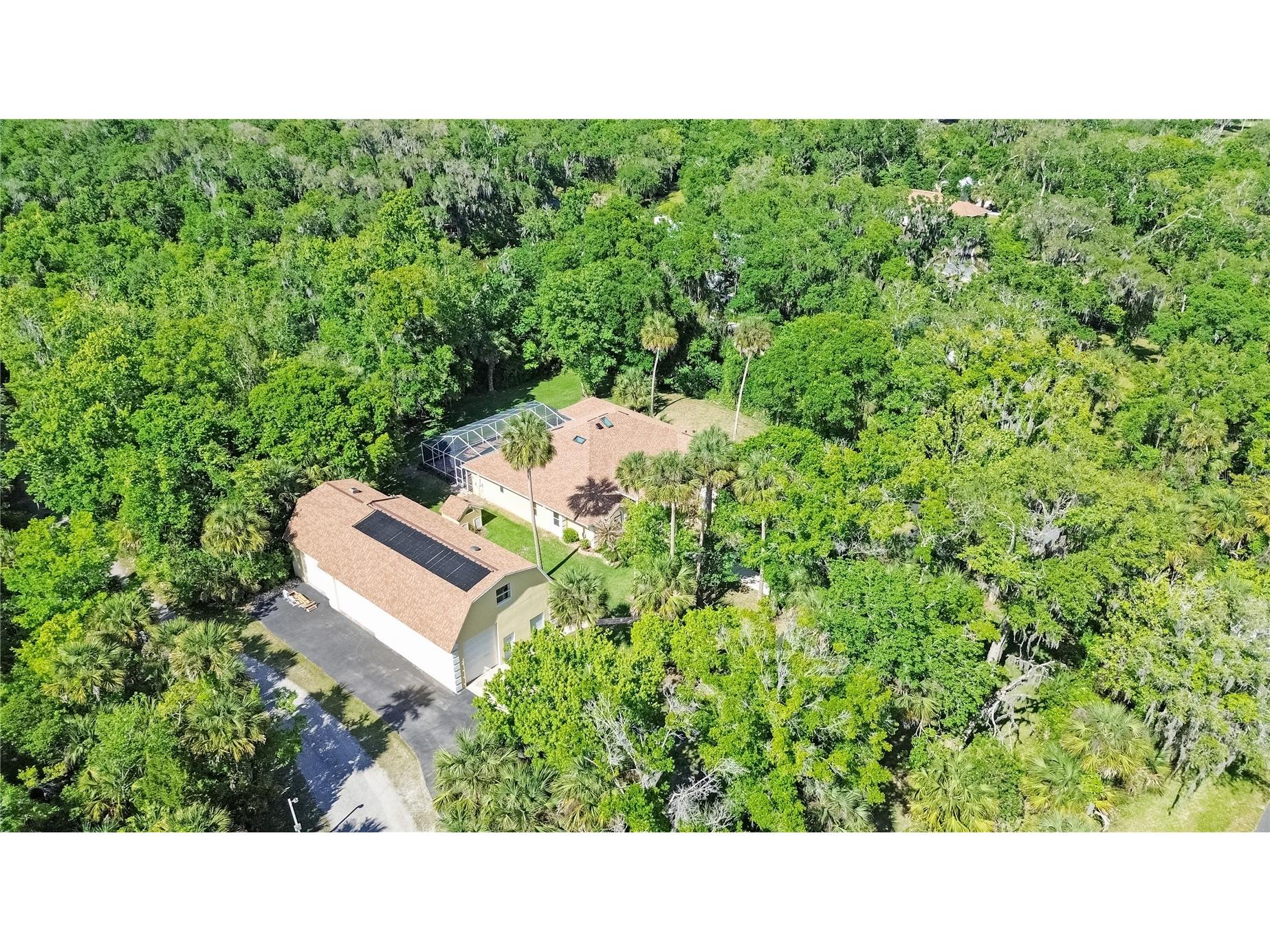 1711 Hideaway Forest Trail New Smyrna Beach FL 32168 NS1088124 image7