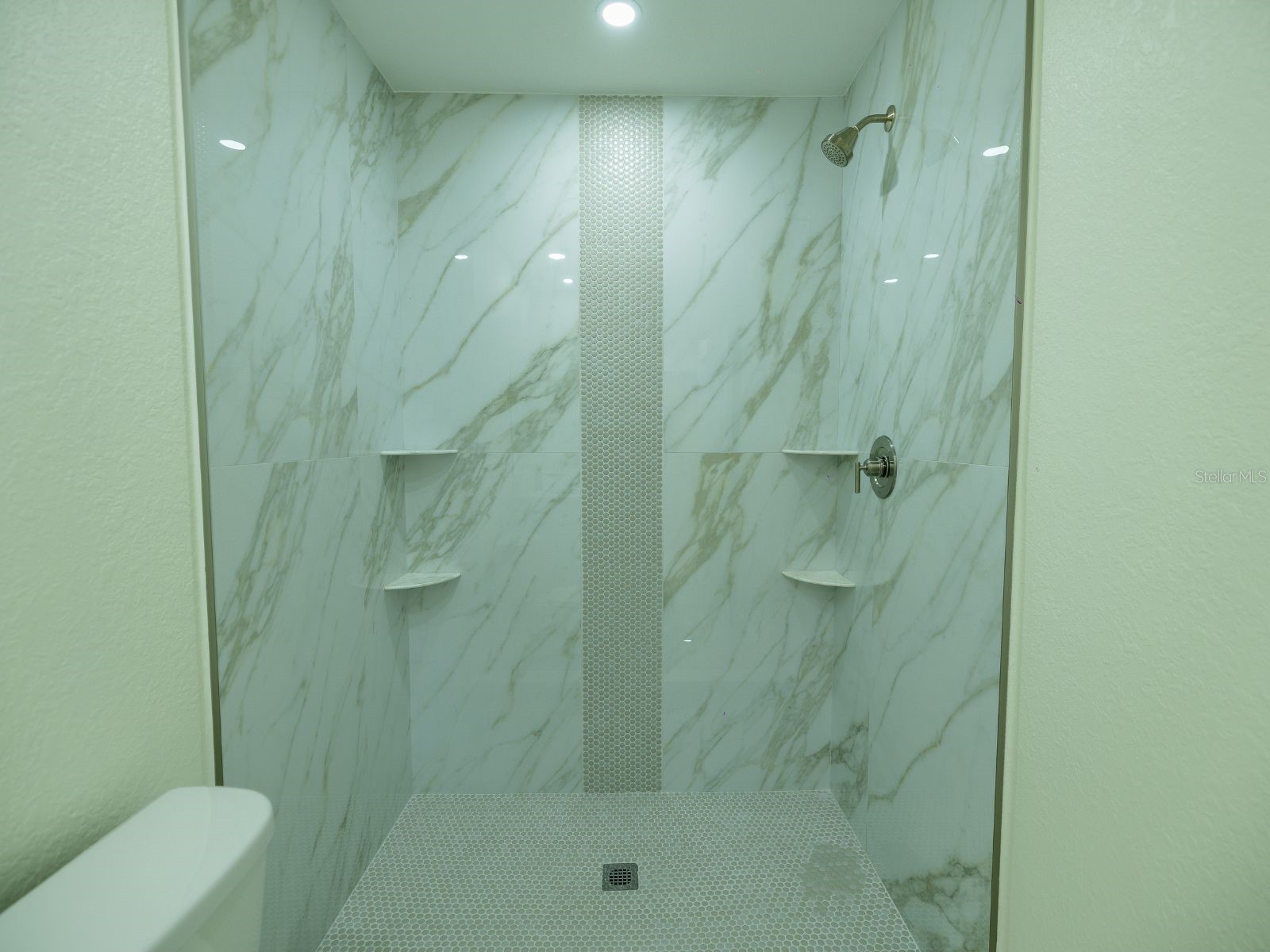 1711 Ironwood Court E Oldsmar FL 34677 TB8466386 image14