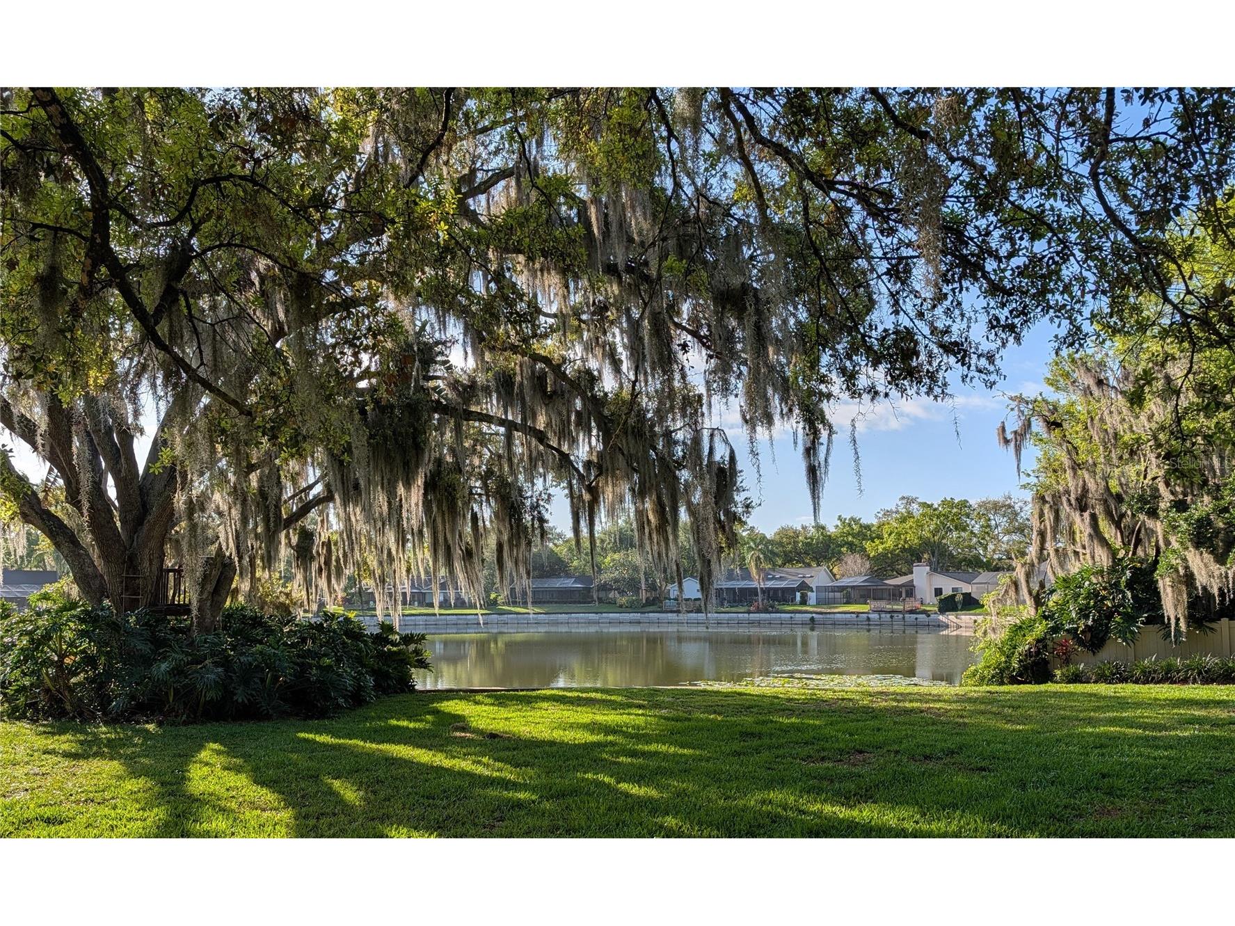 1711 Magdalene Manor Drive Tampa FL 33613 TB8492899 image23