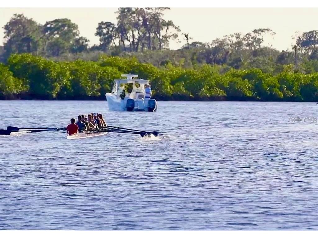 1711 Rio Vista Terrace Parrish FL 34219 - MANATEE RIVER A4580690 image18