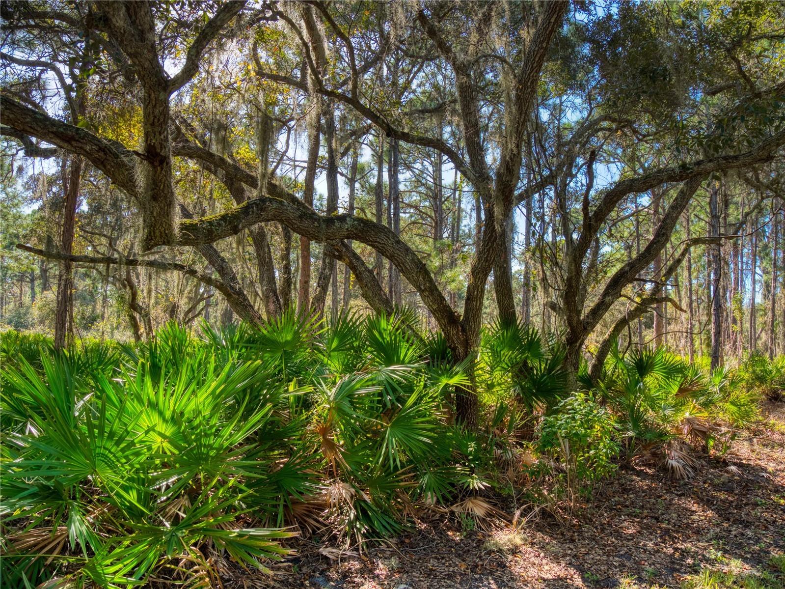 1711 Riverside Drive Englewood FL 34223 A4693427 image42