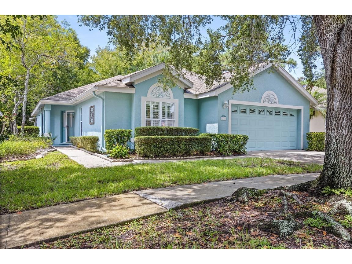 1711 Stafford Springs Boulevard Mount Dora FL 32757 G5085754 image1