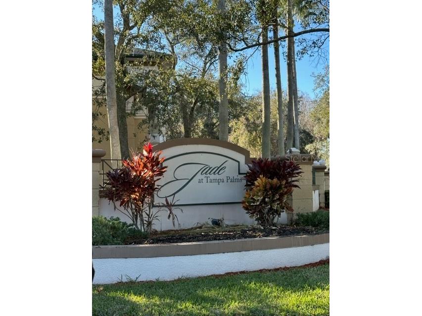 17110 Carrington Park Drive #812 Tampa FL 33647 T3449436 image1