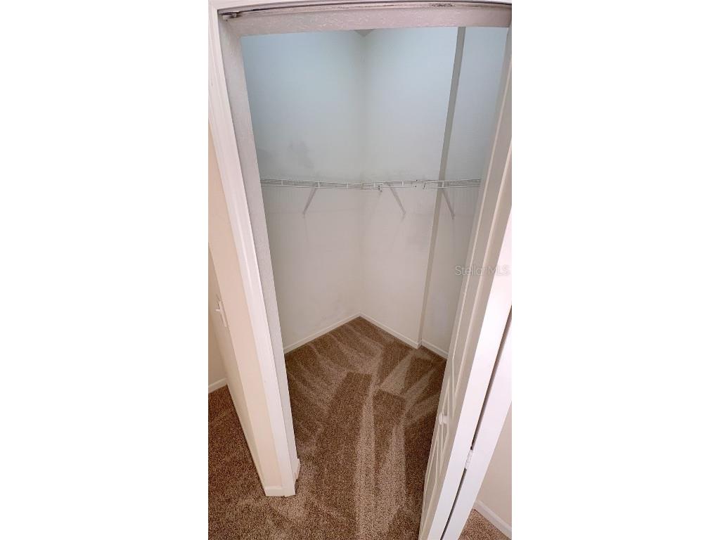 17110 Carrington Park Drive #821 Tampa FL 33647 TB8430134 image14