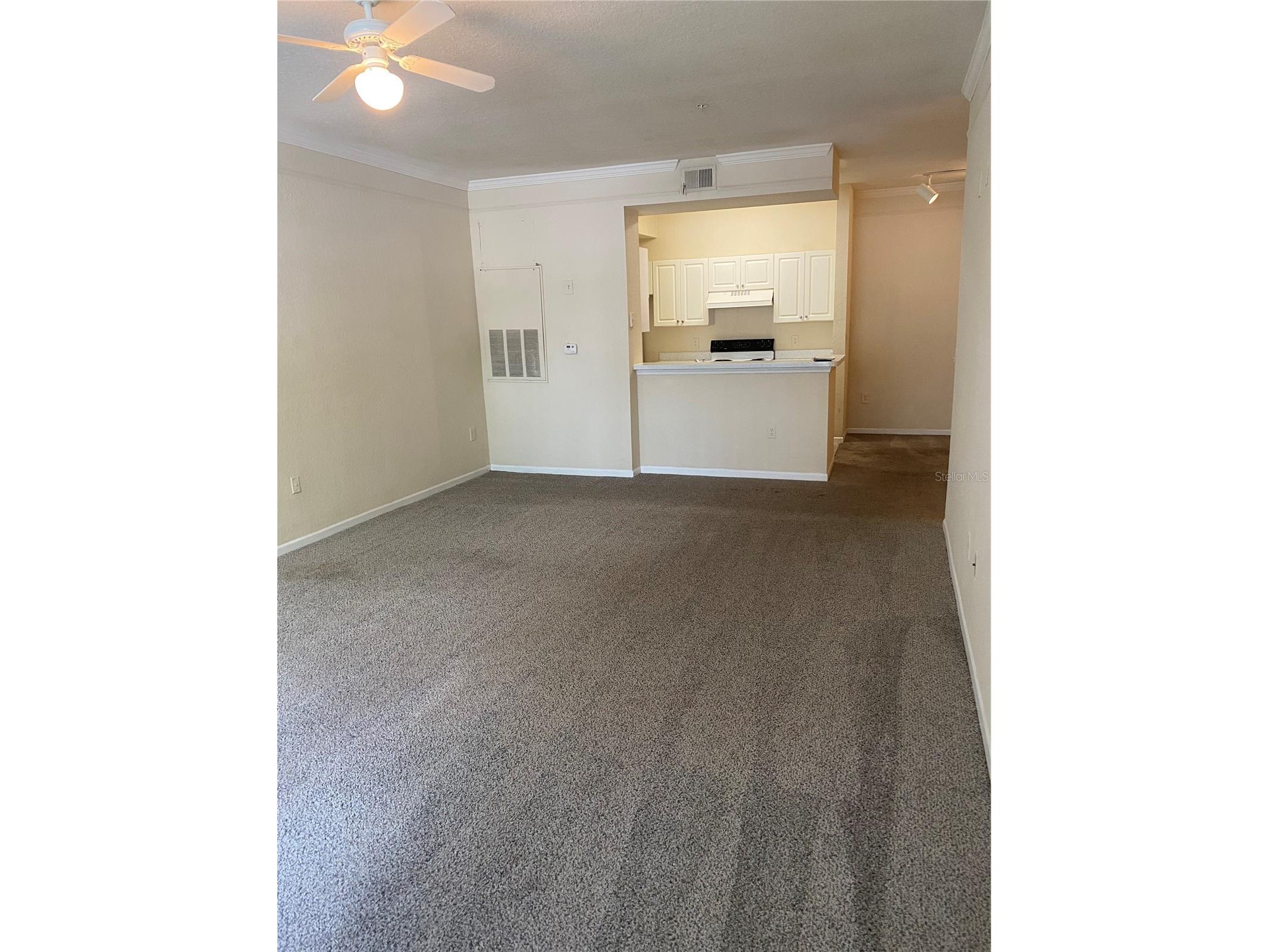 17110 Carrington Park Drive #825 Tampa FL 33647 TB8513987 image11