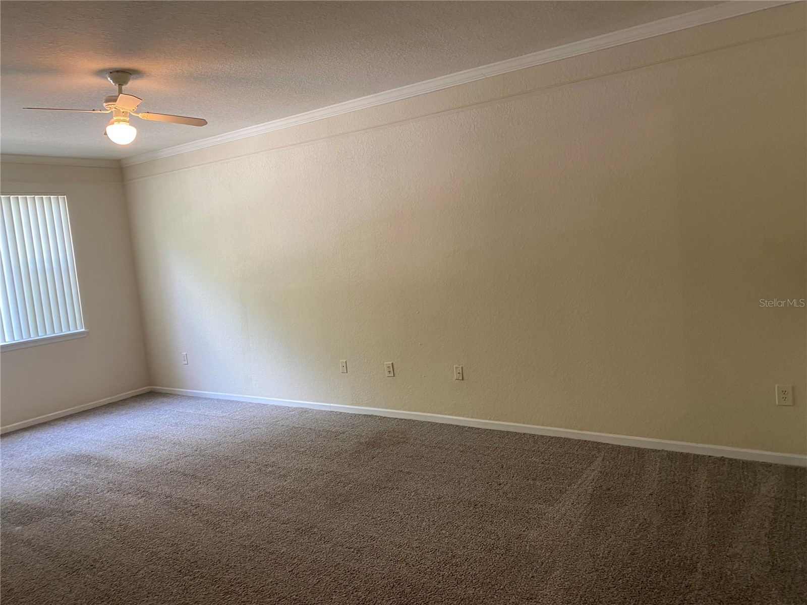 17110 Carrington Park Drive #825 Tampa FL 33647 TB8513987 image15