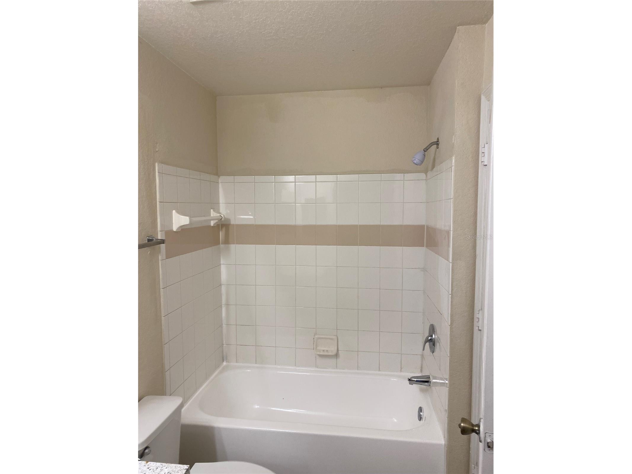 17110 Carrington Park Drive #825 Tampa FL 33647 TB8513987 image21