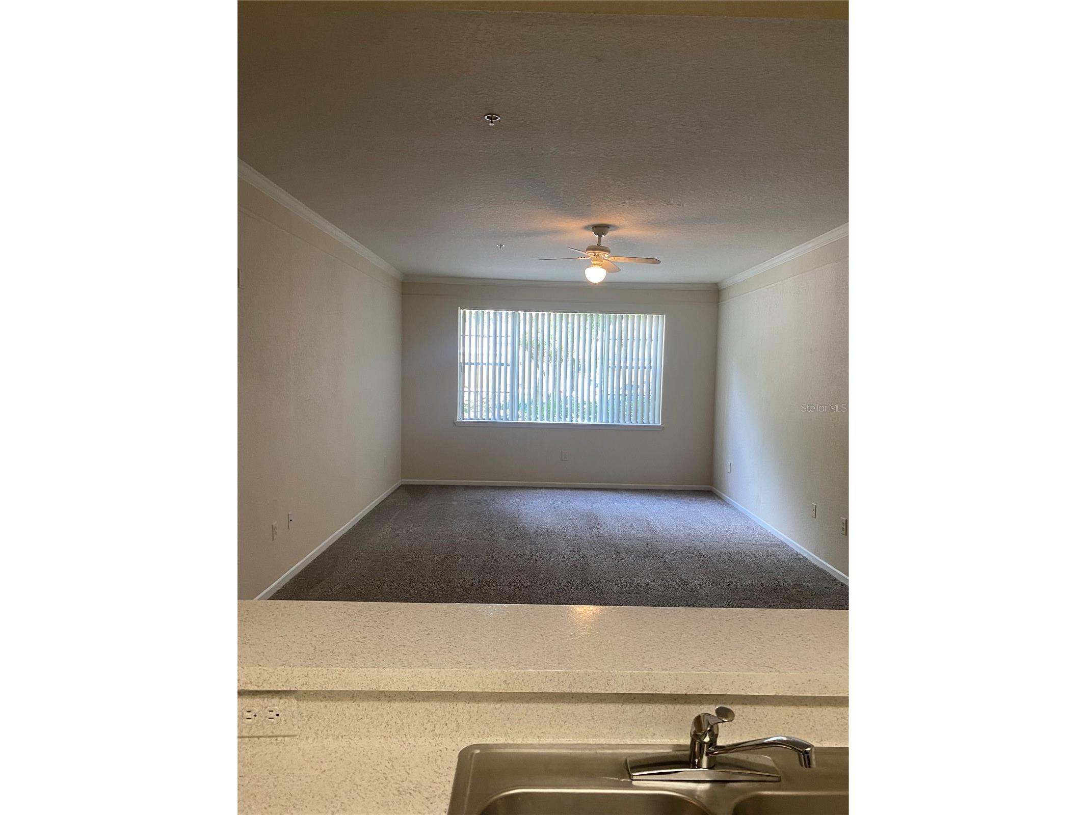 17110 Carrington Park Drive #825 Tampa FL 33647 TB8513987 image29