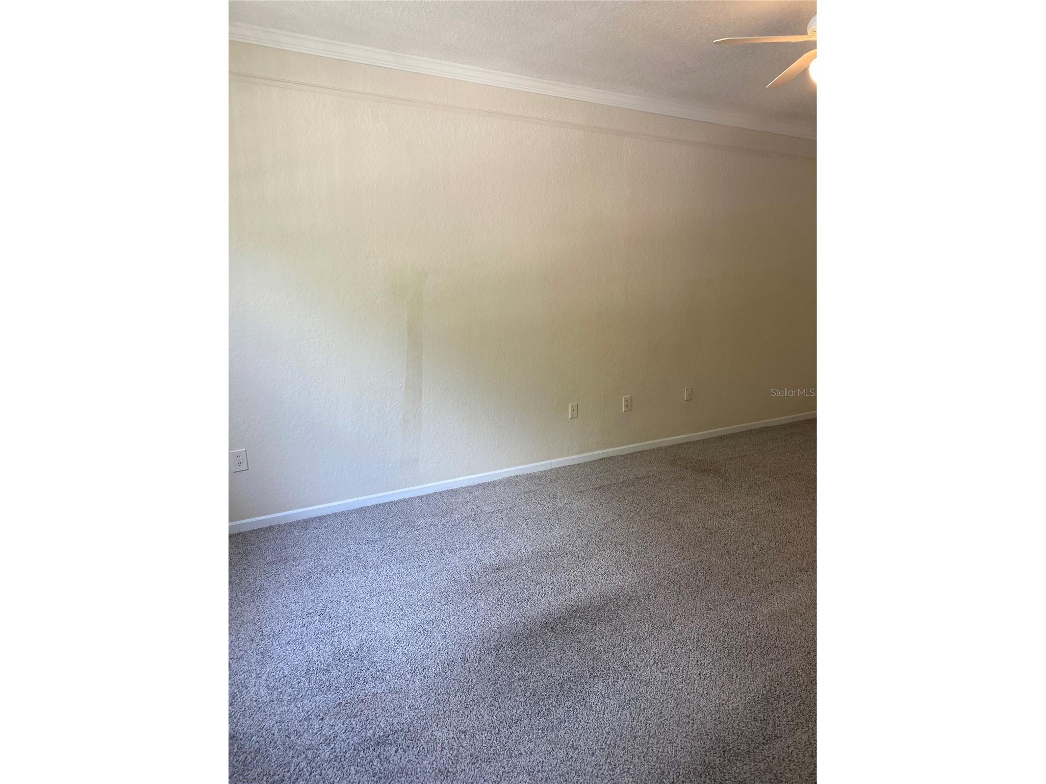 17110 Carrington Park Drive #825 Tampa FL 33647 TB8513987 image3