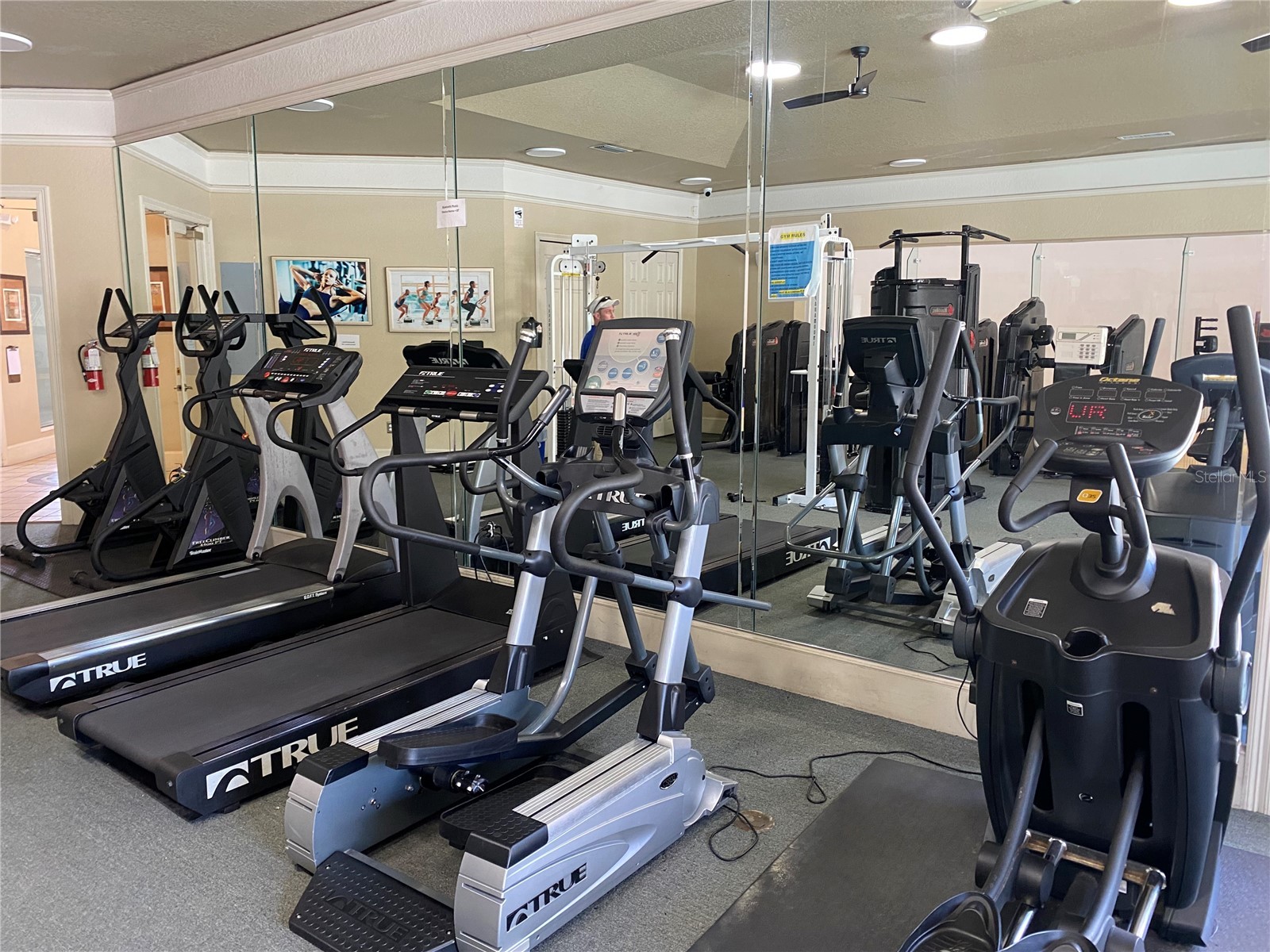 17110 Carrington Park Drive #825 Tampa FL 33647 TB8513987 image34