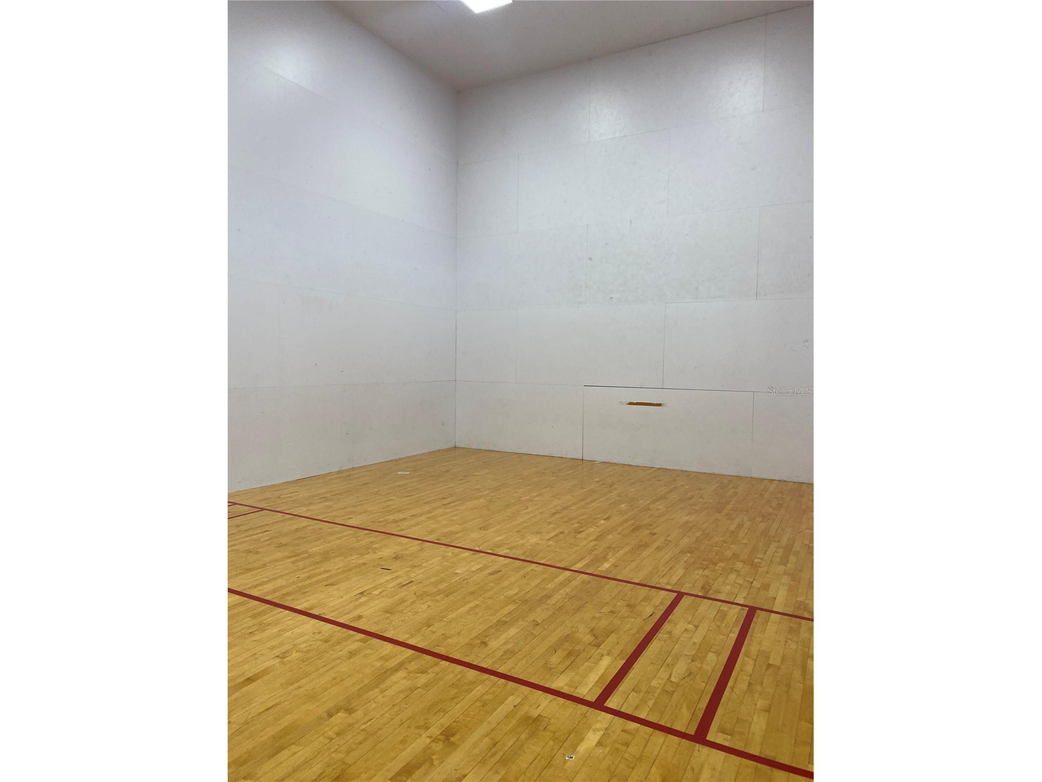 17110 Carrington Park Drive #825 Tampa FL 33647 TB8513987 image38