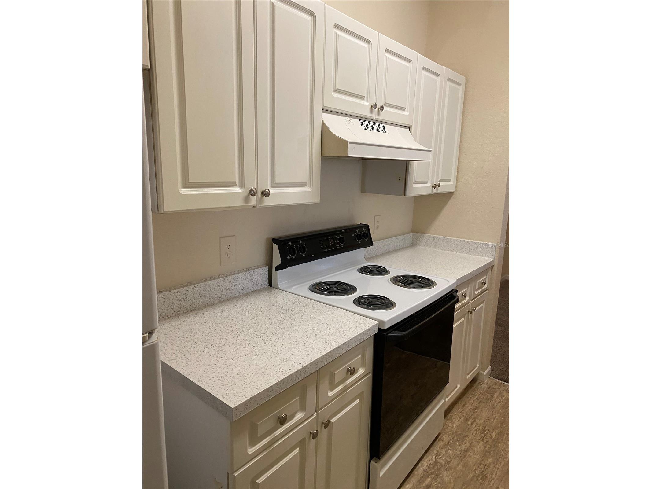 17110 Carrington Park Drive #825 Tampa FL 33647 TB8513987 image4