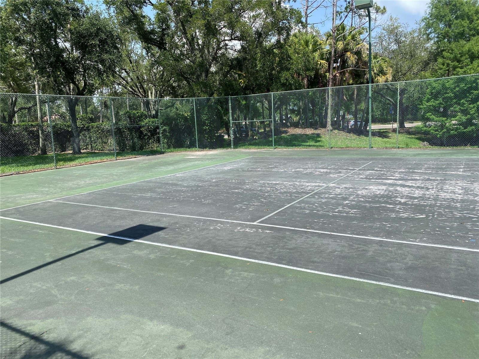 17110 Carrington Park Drive #825 Tampa FL 33647 TB8513987 image43