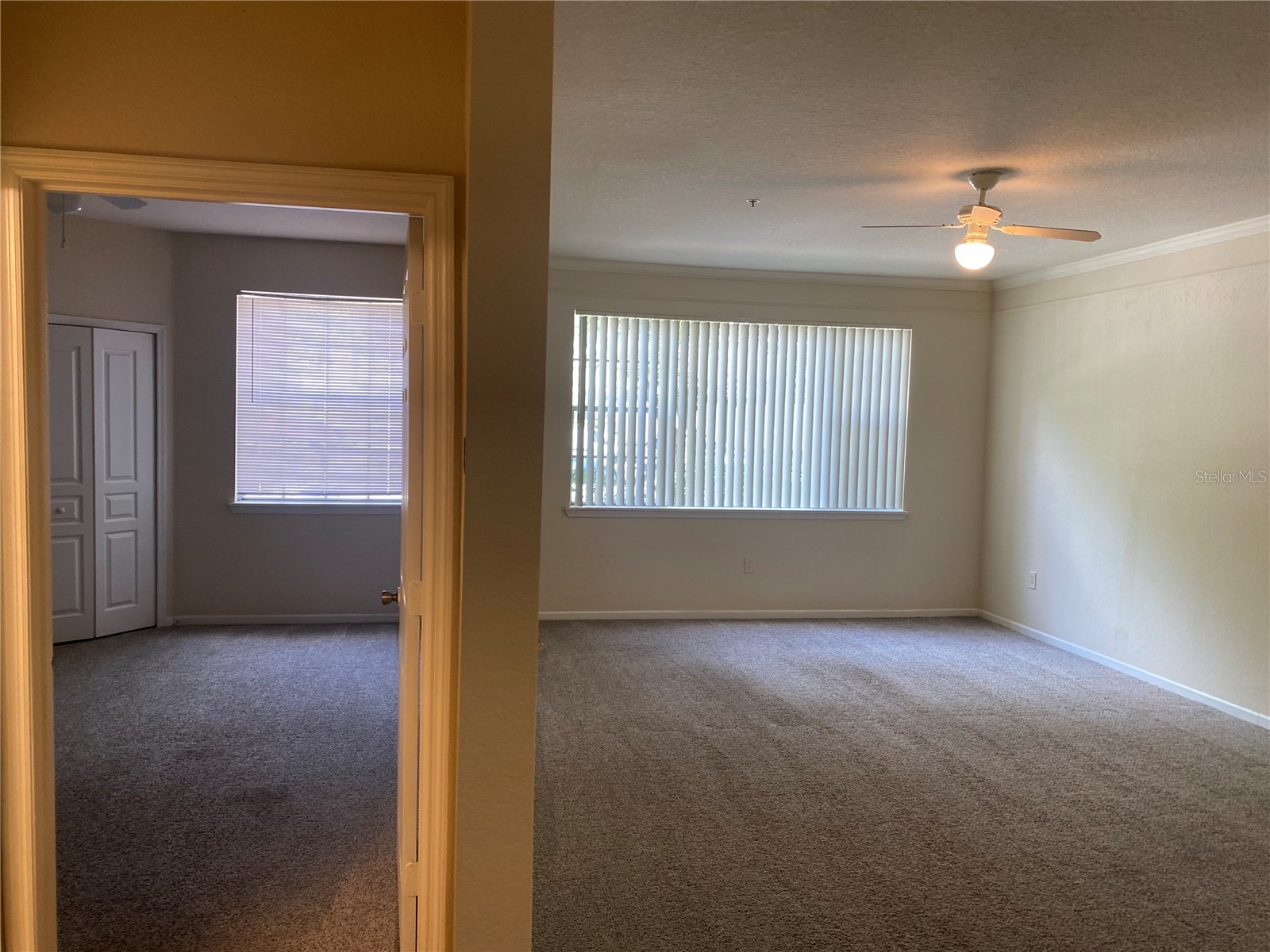 17110 Carrington Park Drive #825 Tampa FL 33647 TB8513987 image5