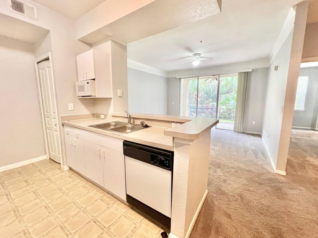 17110 Carrington Park Drive #826 Tampa FL 33647 TB8487608 image10