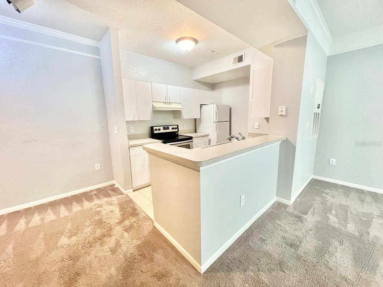 17110 Carrington Park Drive #826 Tampa FL 33647 TB8487608 image11