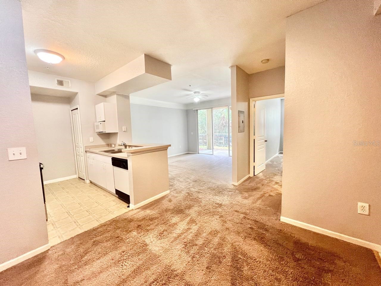 17110 Carrington Park Drive #826 Tampa FL 33647 TB8487608 image12