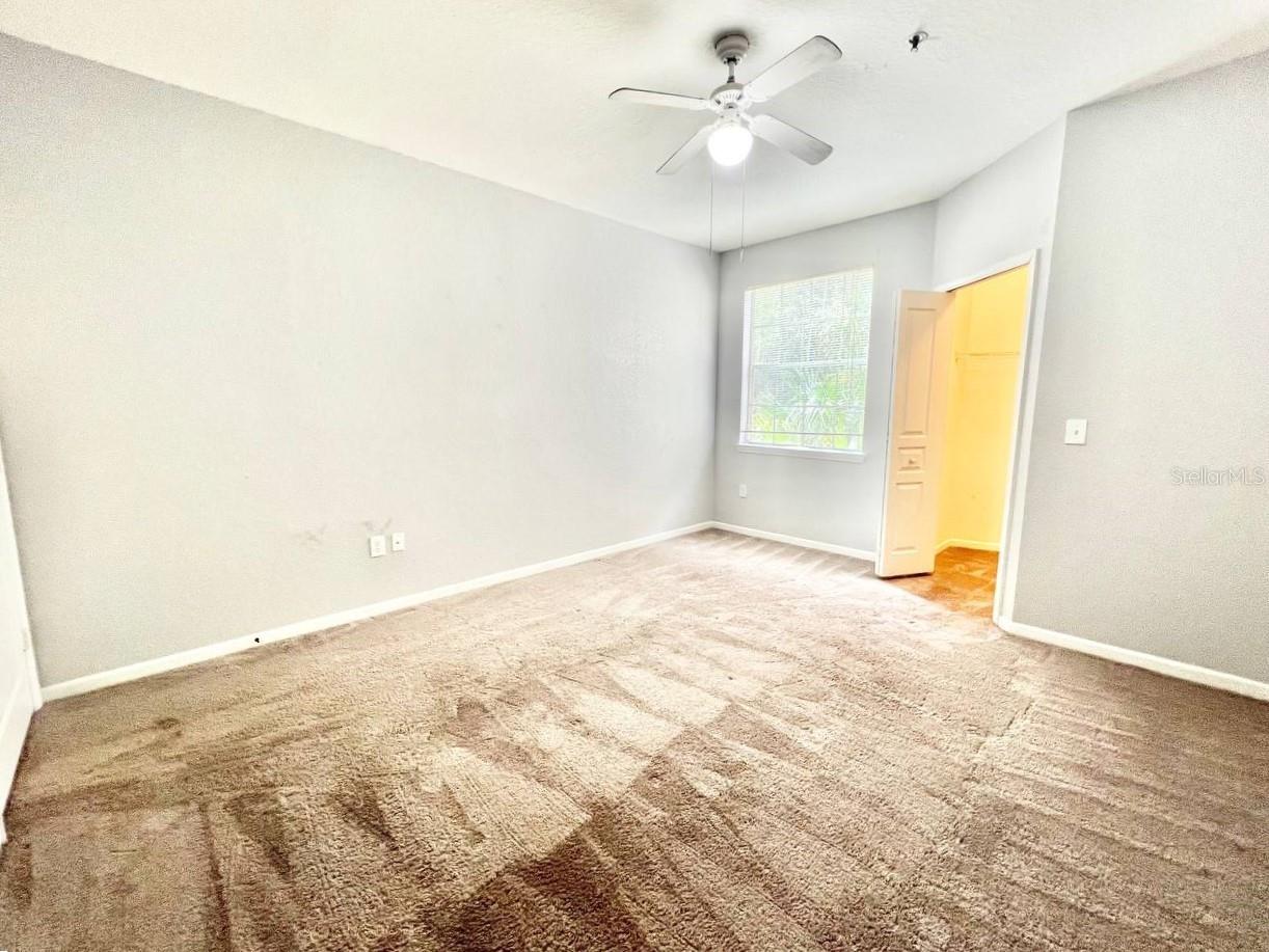 17110 Carrington Park Drive #826 Tampa FL 33647 TB8487608 image15