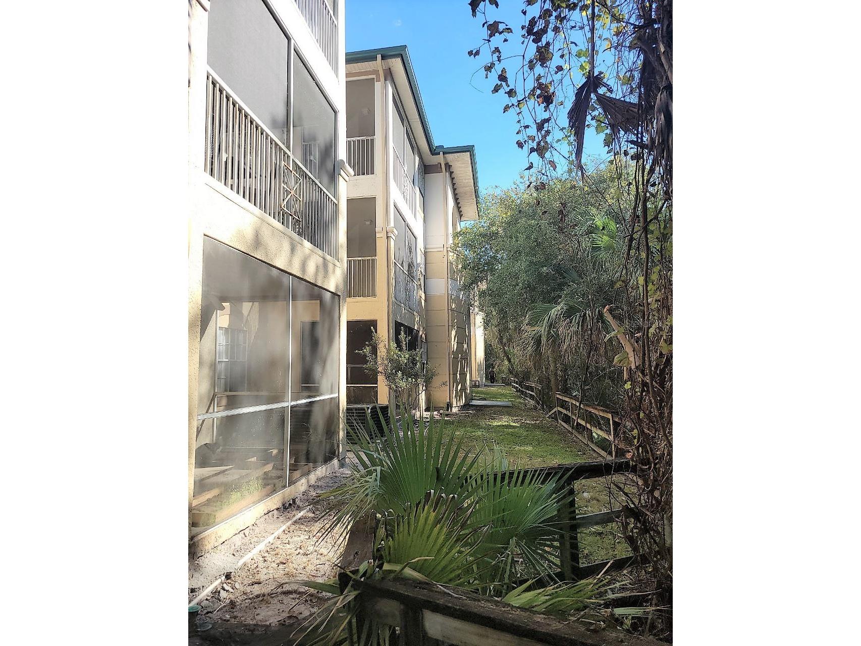 17110 Carrington Park Drive #826 Tampa FL 33647 TB8487608 image22