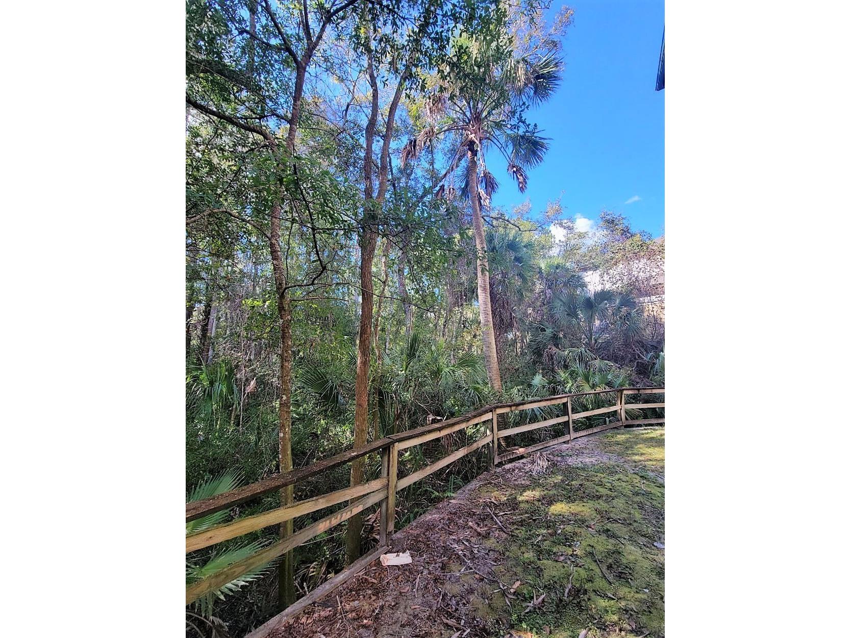 17110 Carrington Park Drive #826 Tampa FL 33647 TB8487608 image23