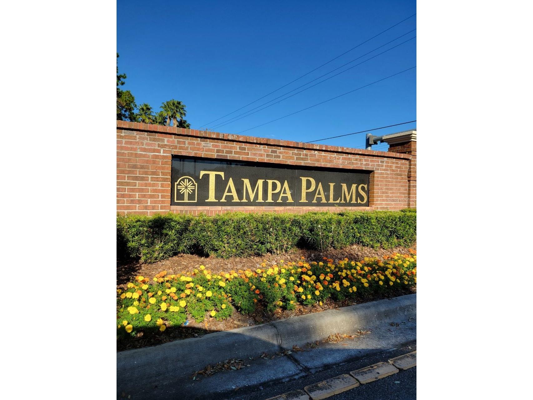 17110 Carrington Park Drive #826 Tampa FL 33647 TB8487608 image30
