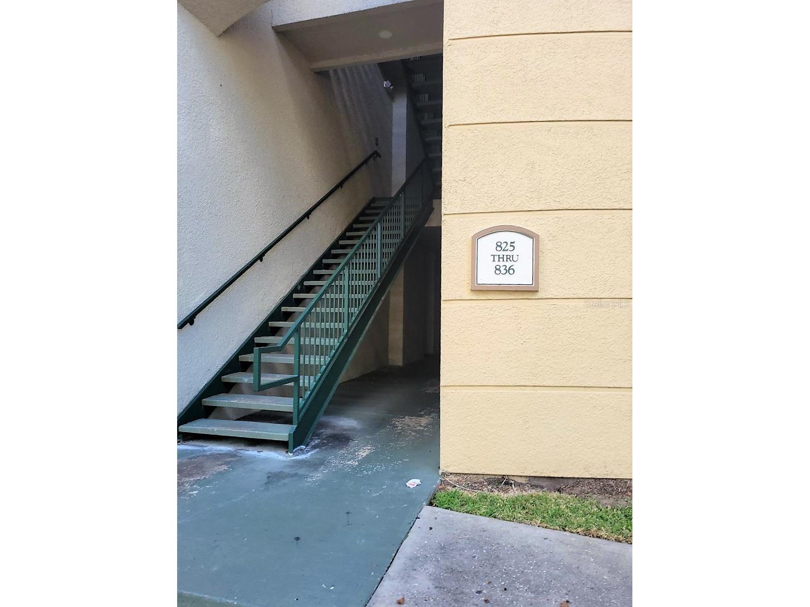 17110 Carrington Park Drive #826 Tampa FL 33647 TB8487608 image4