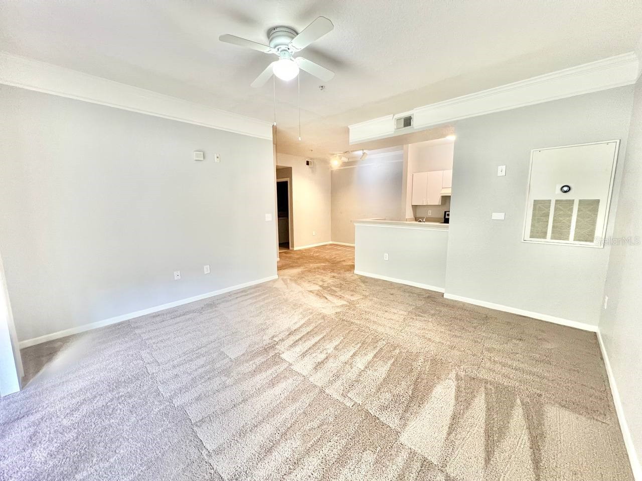 17110 Carrington Park Drive #826 Tampa FL 33647 TB8487608 image6