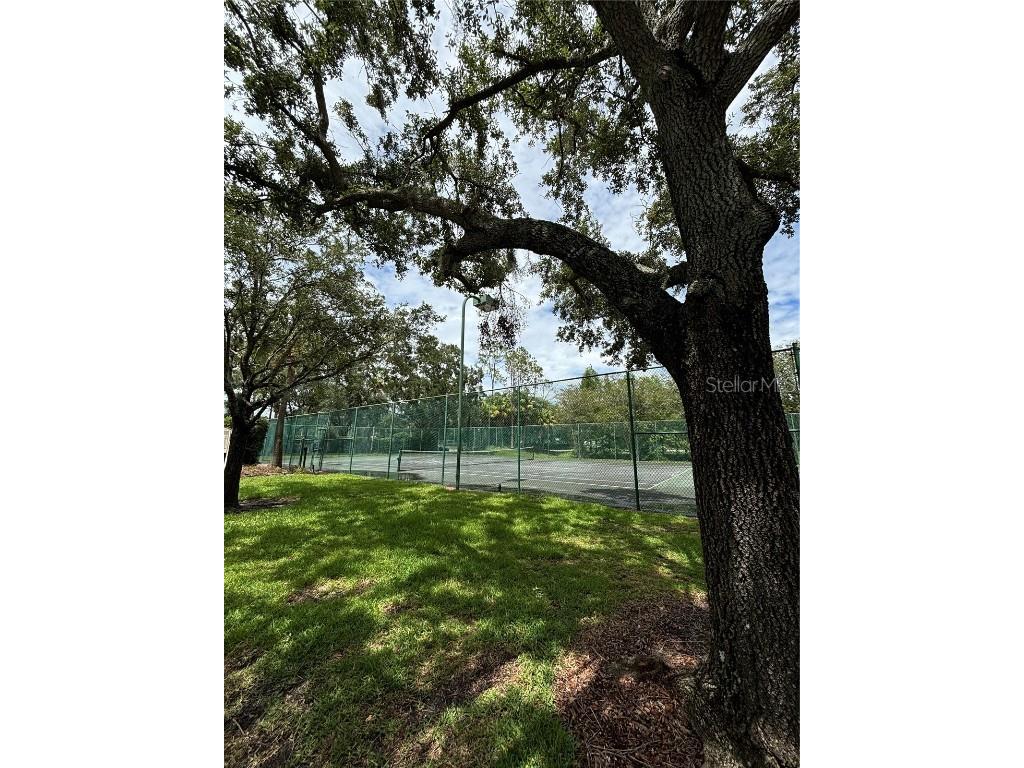 17110 Carrington Park Drive #832 Tampa FL 33647 TB8405684 image19