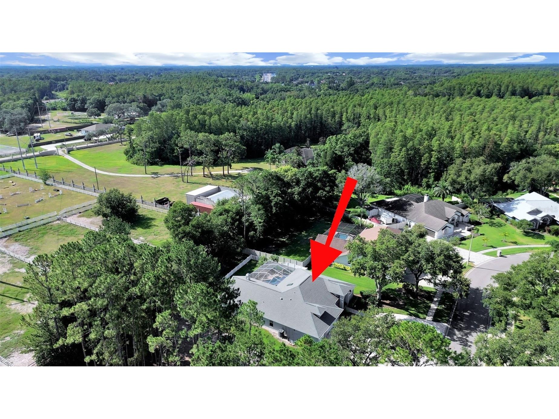 17110 Downs Drive Odessa FL 33556 TB8524105 image48