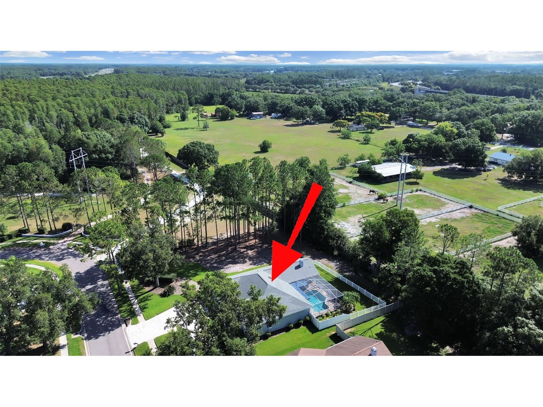 17110 Downs Drive Odessa FL 33556 TB8524105 image49