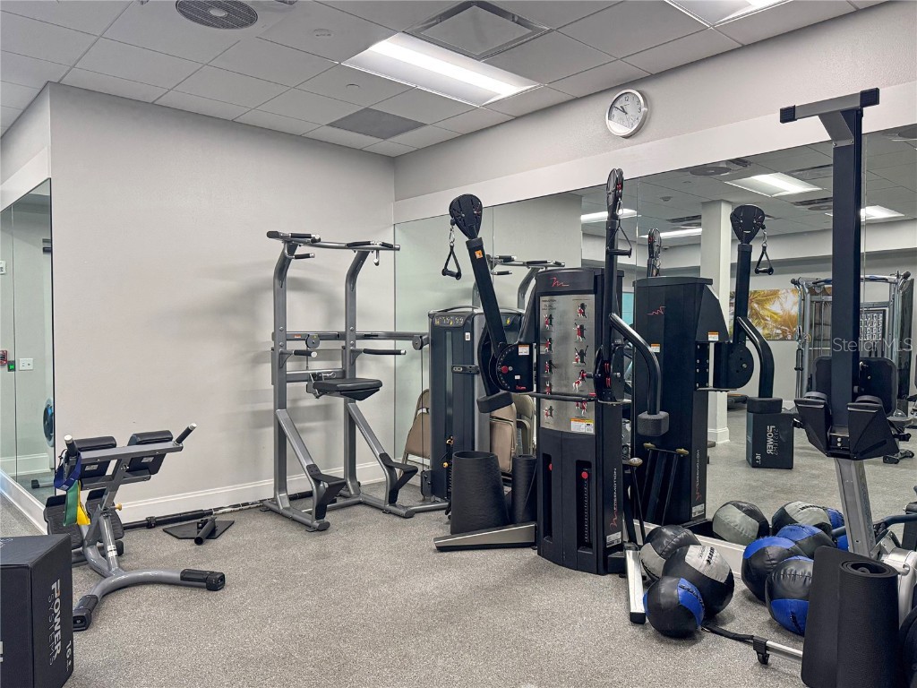 17110 Verona Place Lakewood Ranch FL 34202 A4656247 image59