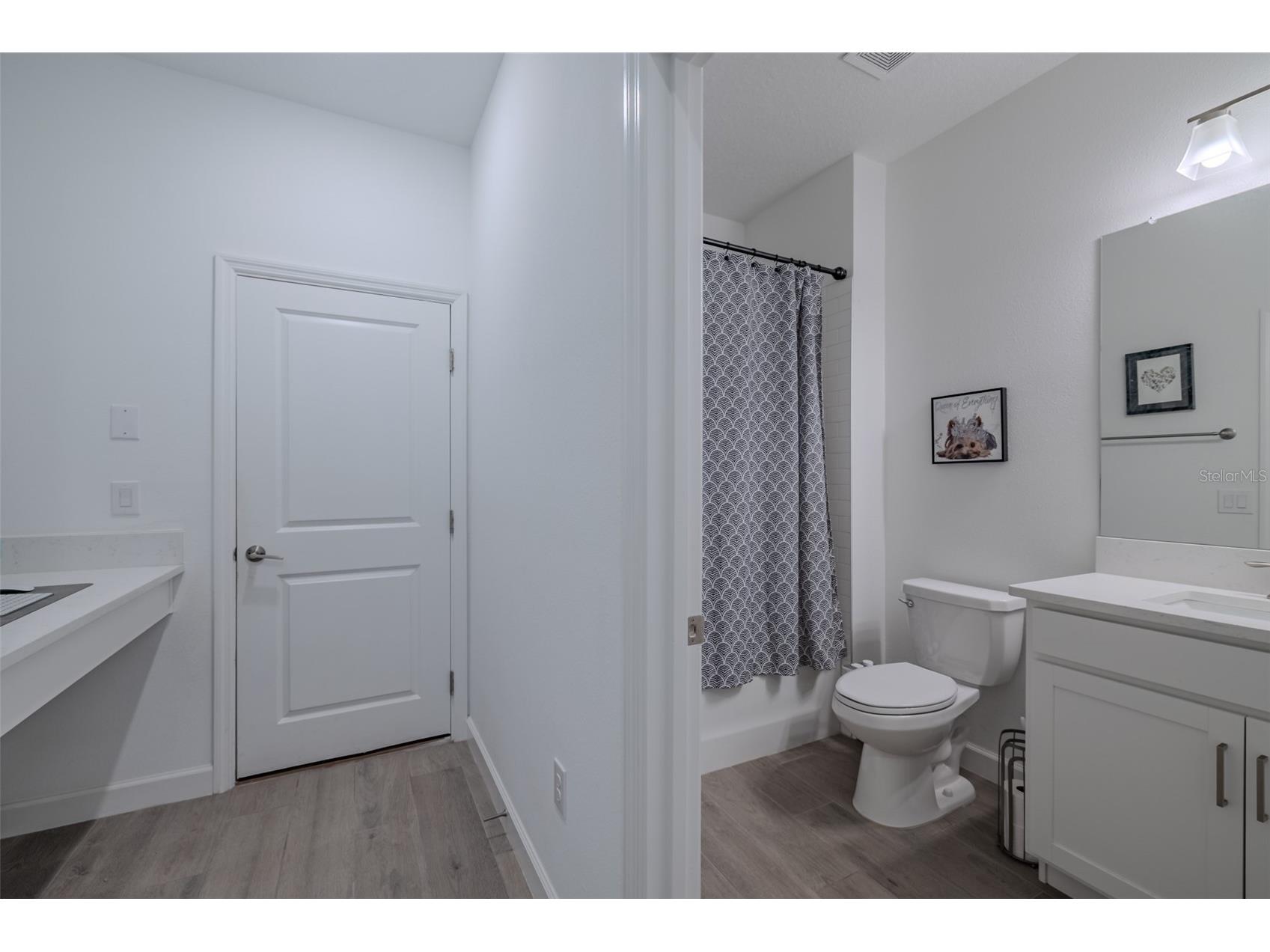 17111 Holly Well Wimauma FL 33598 TB8463192 image31