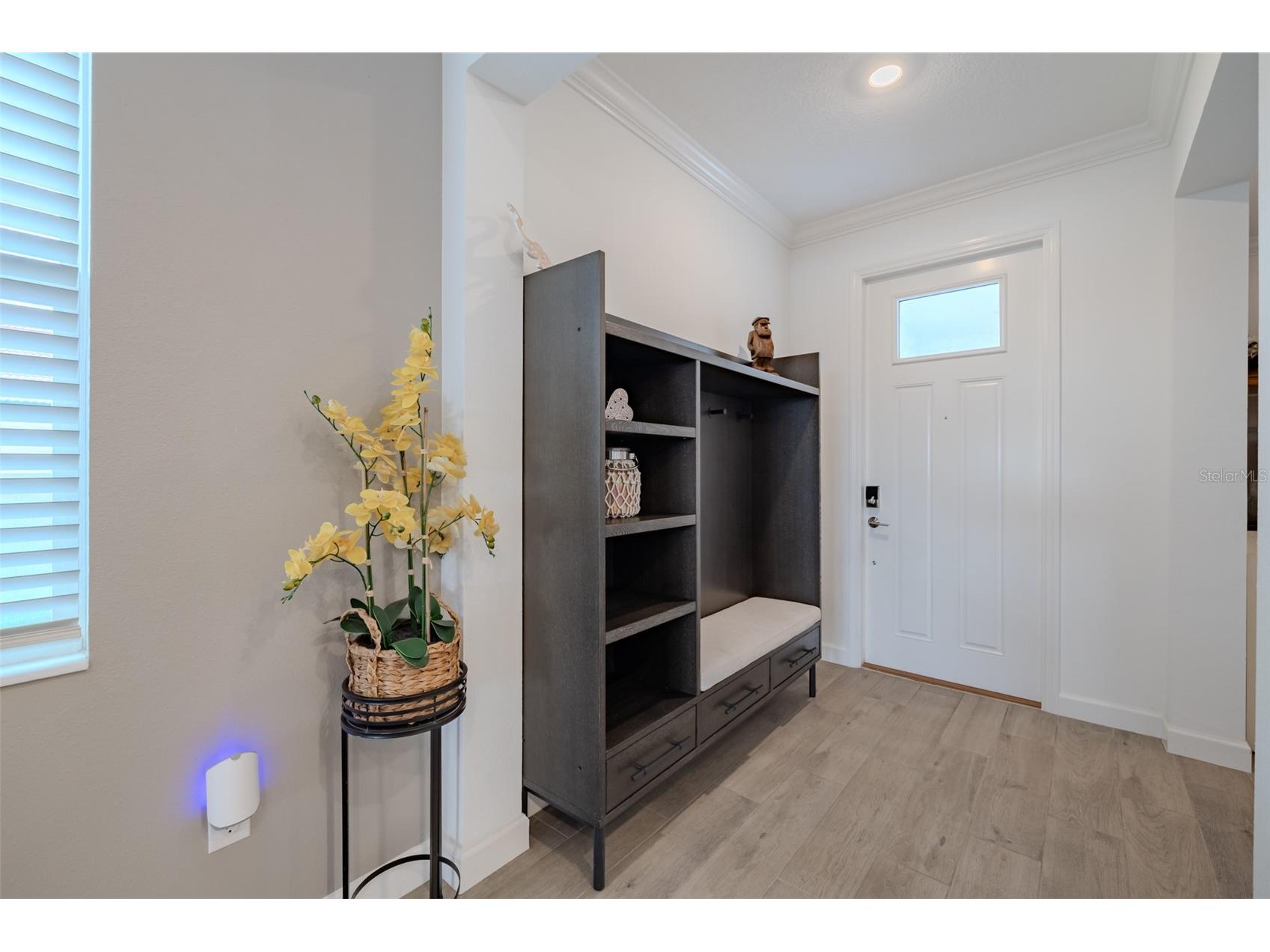 17111 Holly Well Wimauma FL 33598 TB8463192 image8