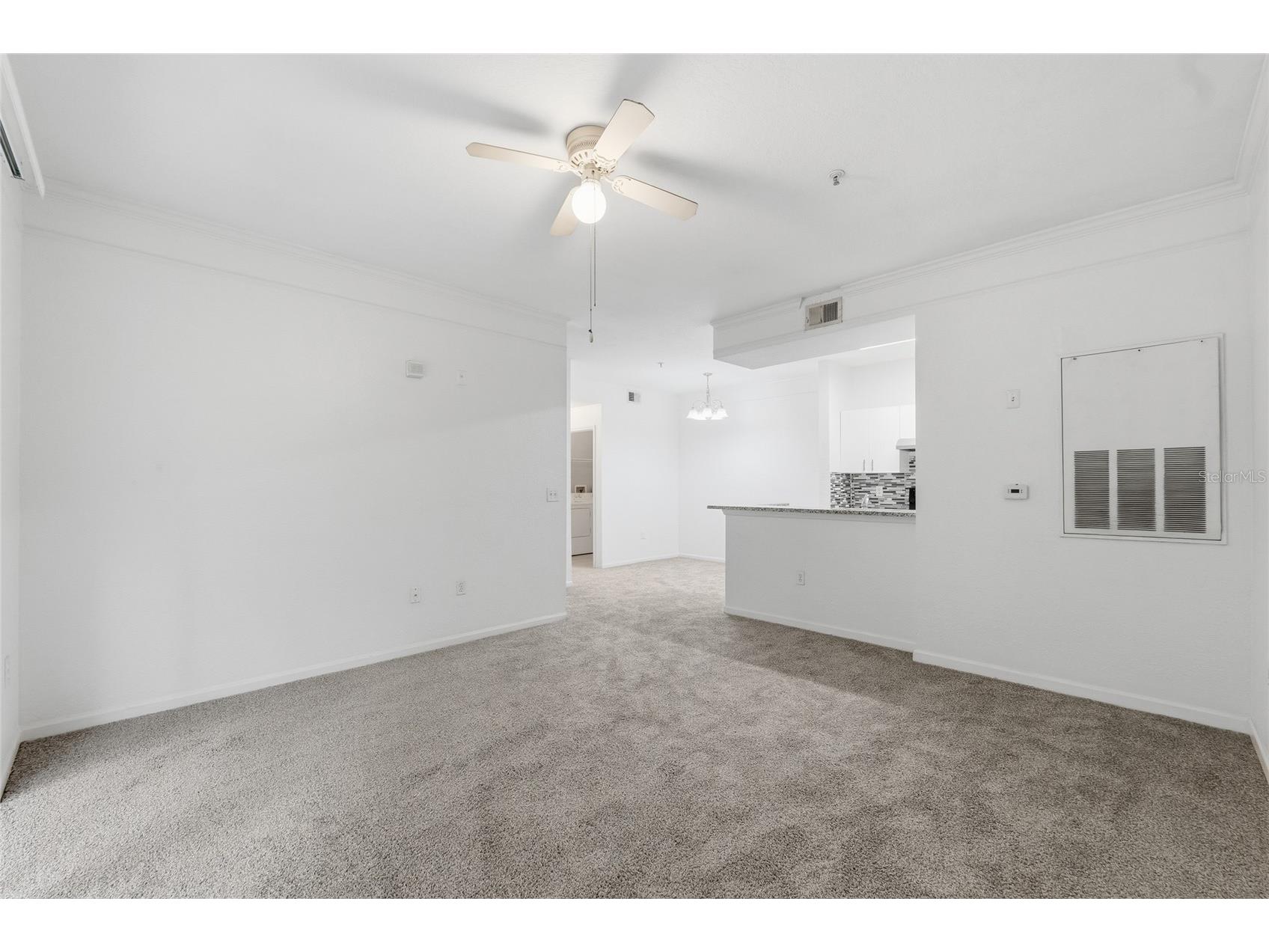 17112 Carrington Park Drive #926 Tampa FL 33647 TB8528863 image11