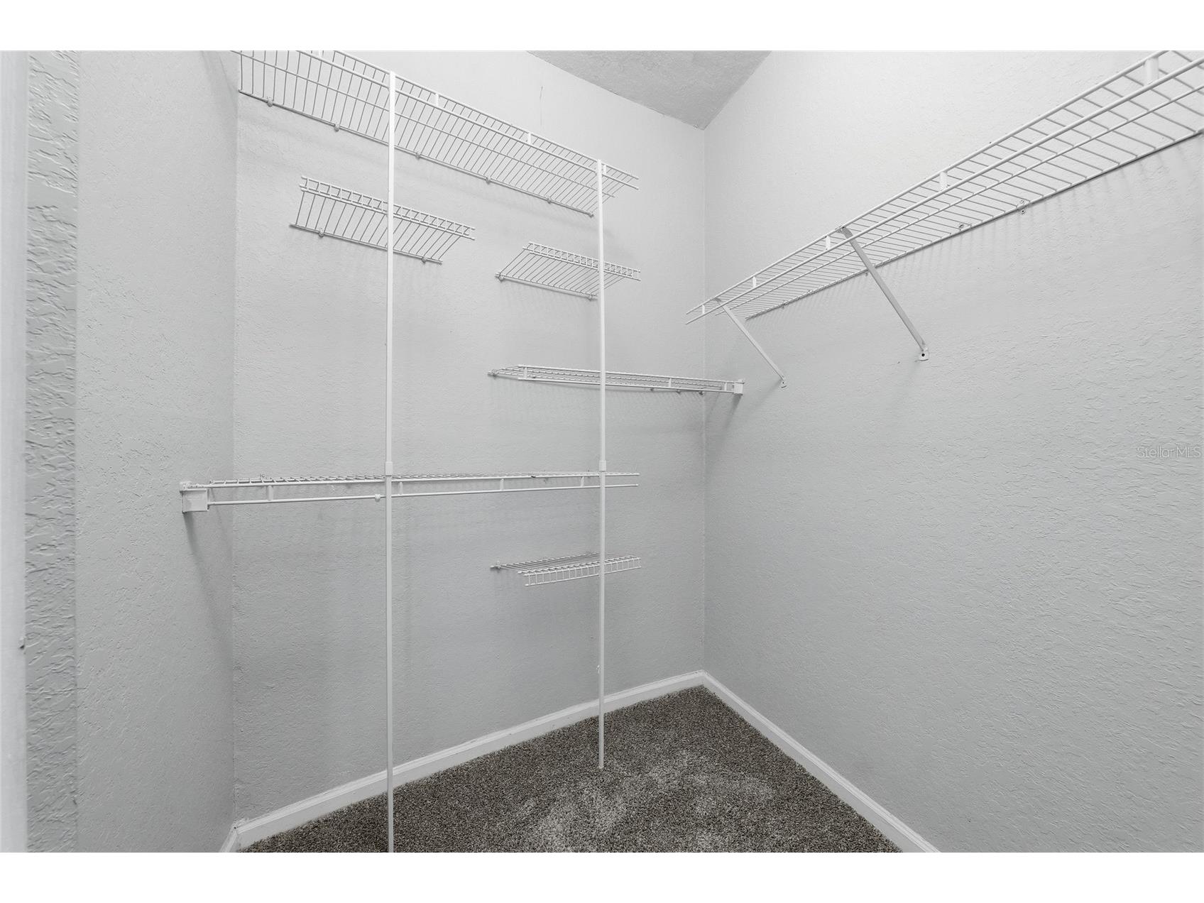 17112 Carrington Park Drive #926 Tampa FL 33647 TB8528863 image15