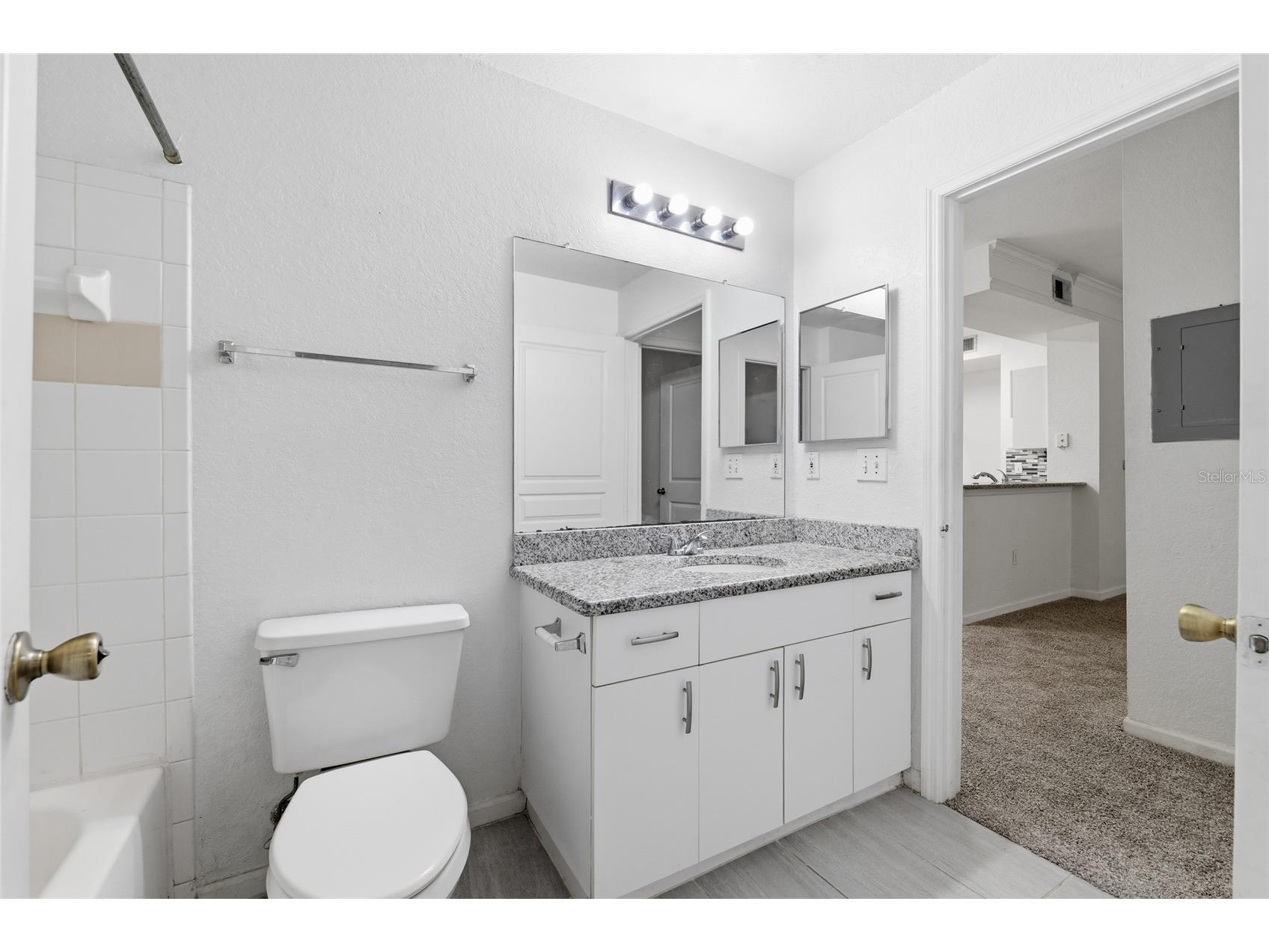 17112 Carrington Park Drive #926 Tampa FL 33647 TB8528863 image16