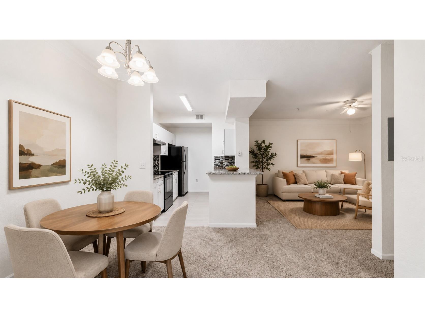 17112 Carrington Park Drive #926 Tampa FL 33647 TB8528863 image3