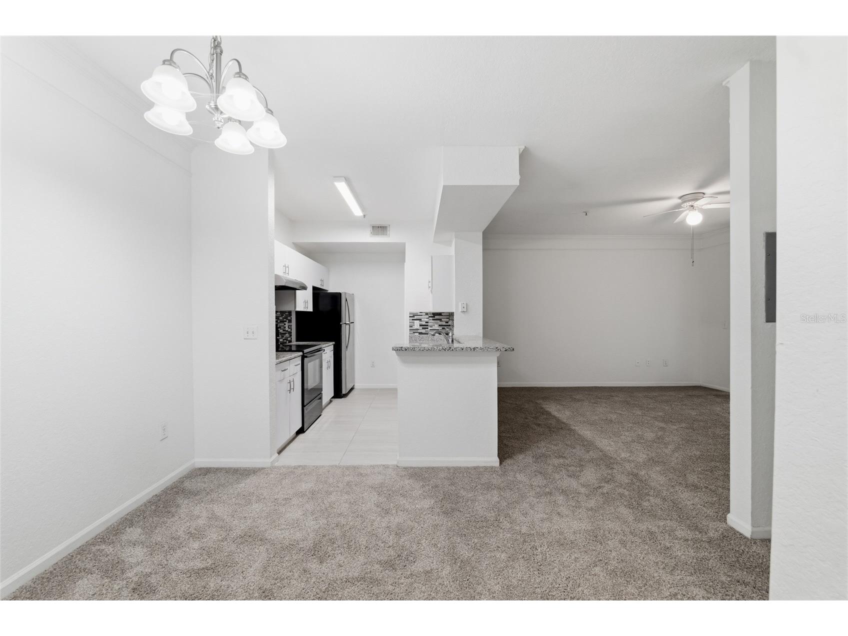 17112 Carrington Park Drive #926 Tampa FL 33647 TB8528863 image4